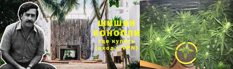 hydra зеркало  Волхов  Канабис LSD WEED  купить наркотики цена 